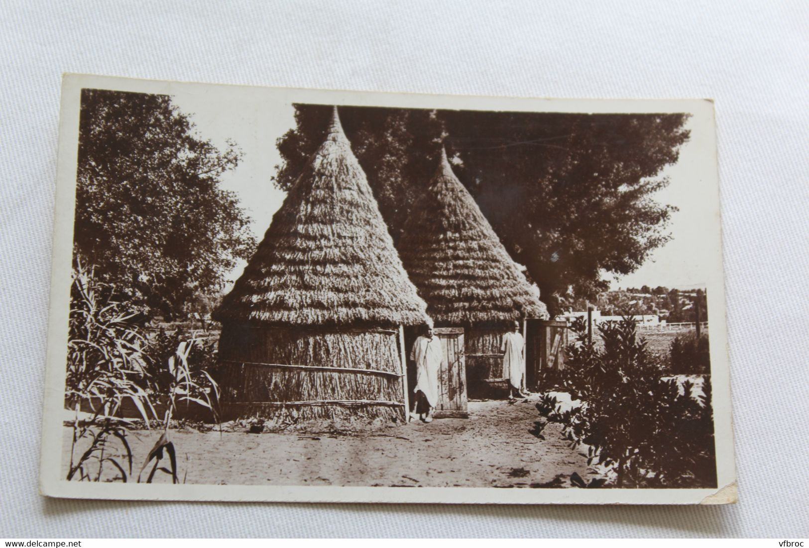 Cpsm, scènes, huttes Indigènes, Afrique