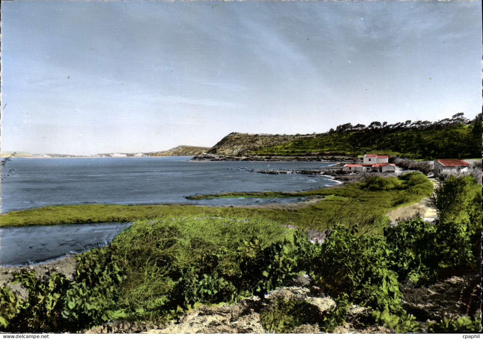 CPSM Sigean Etang De Sigean