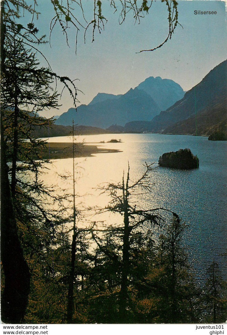 CPSM Sils im Engadin        L2819