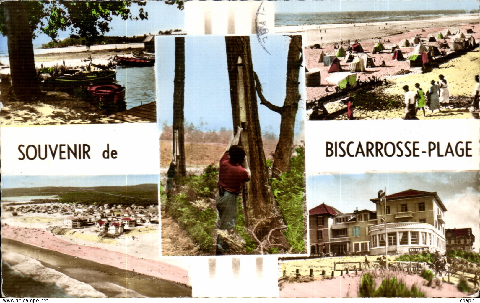 CPSM Souvenir de Biscarrosse Plage