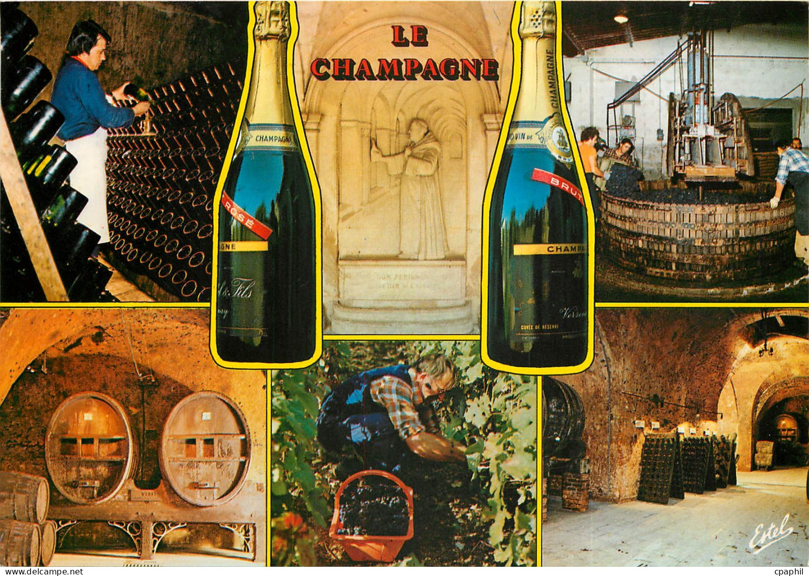 CPSM Souvenir de Champagne