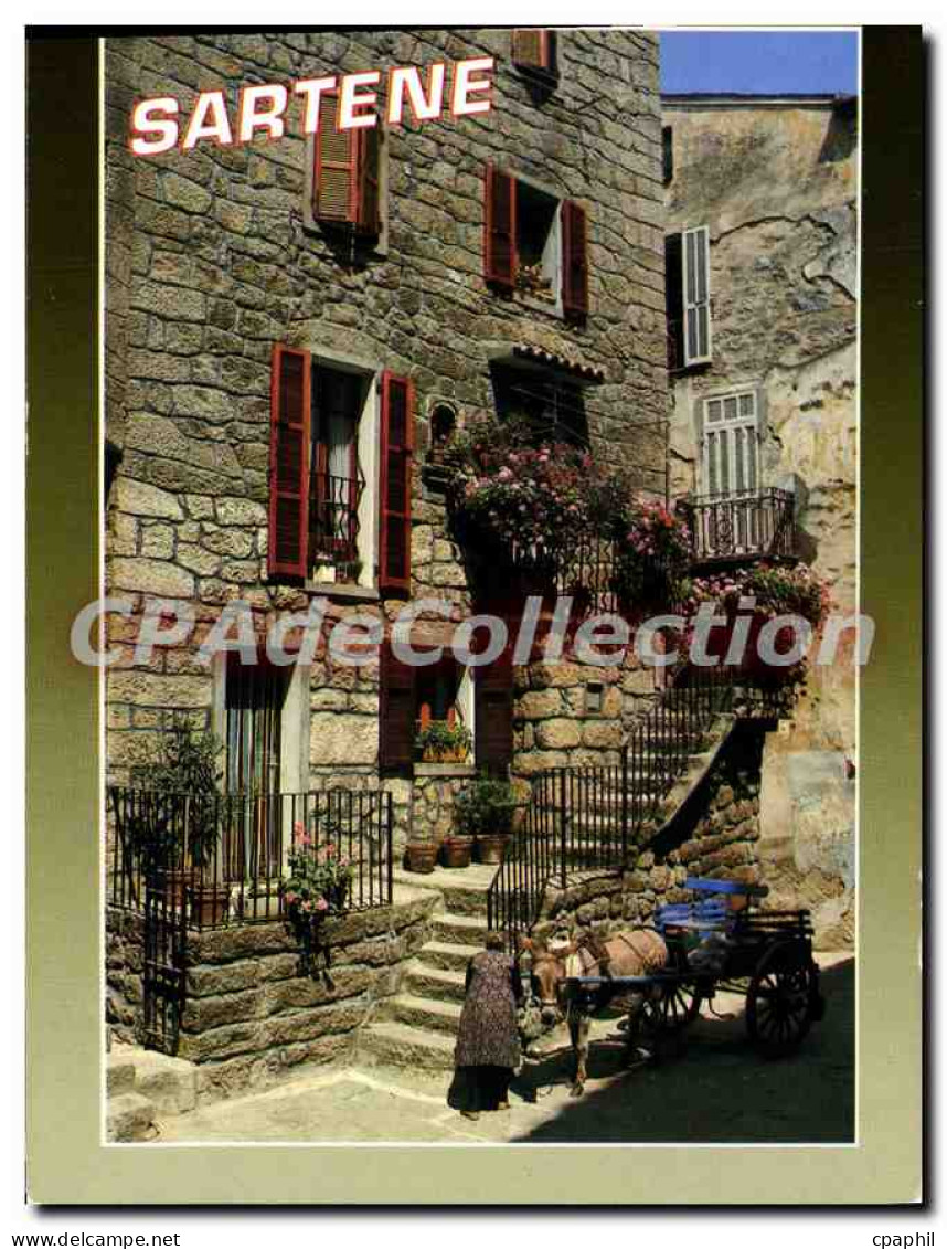 CPSM Souvenir De Corse Rueile De Sartene