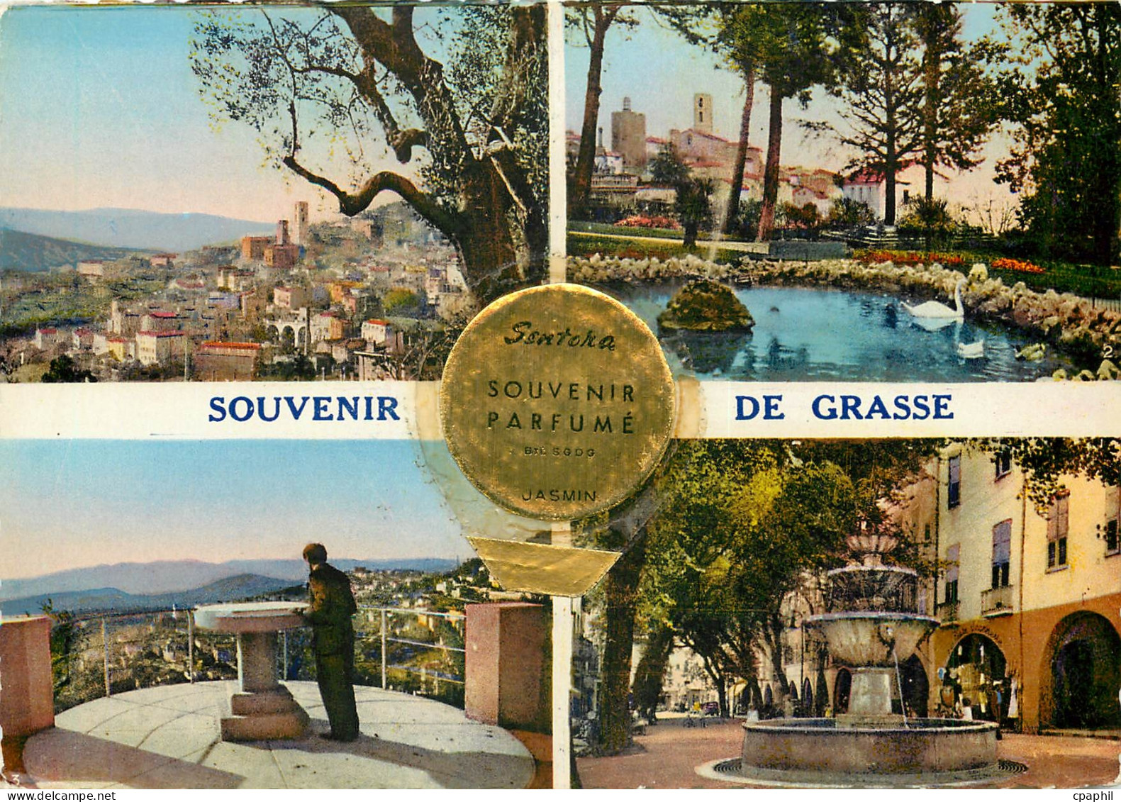CPSM Souvenir de Grasse (A M)