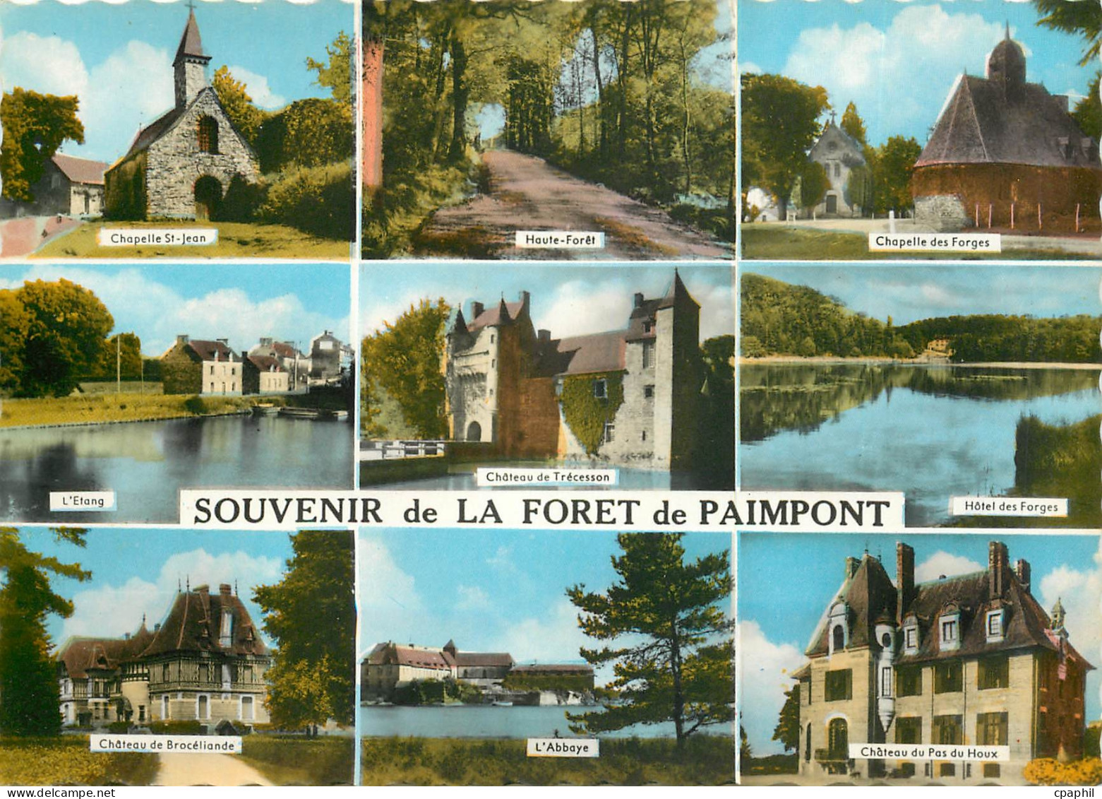 CPSM Souvenir de la Foret de Paimpont