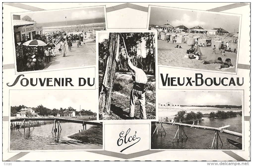 CPSM Souvenir du Vieux-Boucau - vues multiples