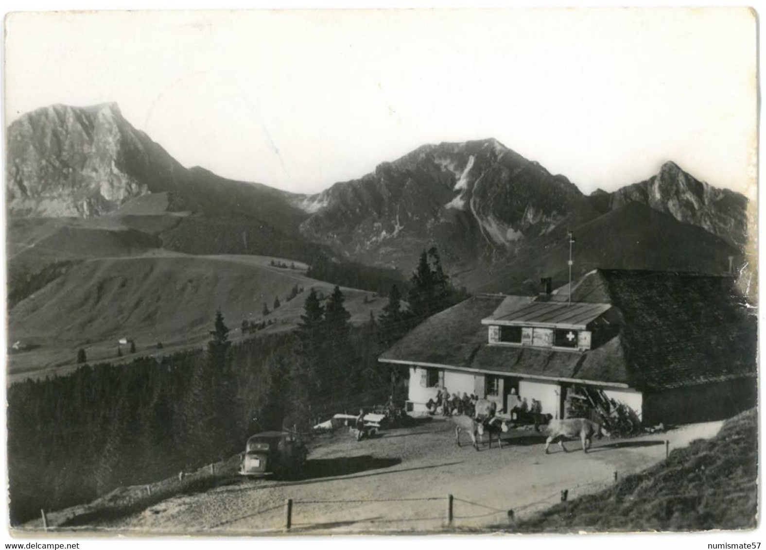 CPSM Stierenhütte mit Gantrisch , Bürglen , Ochsen - Verlag H. Wengen , Riggisberg n°90