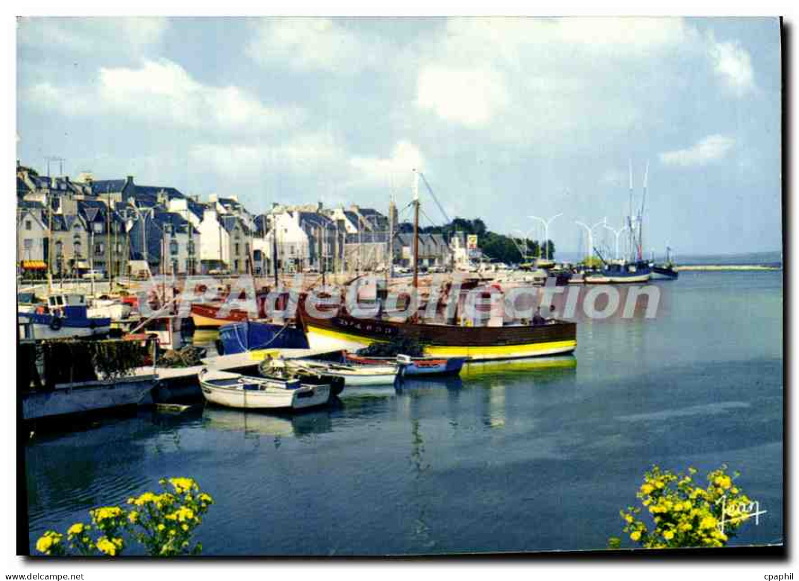 CPSM Treboul Douarnenez Le Port