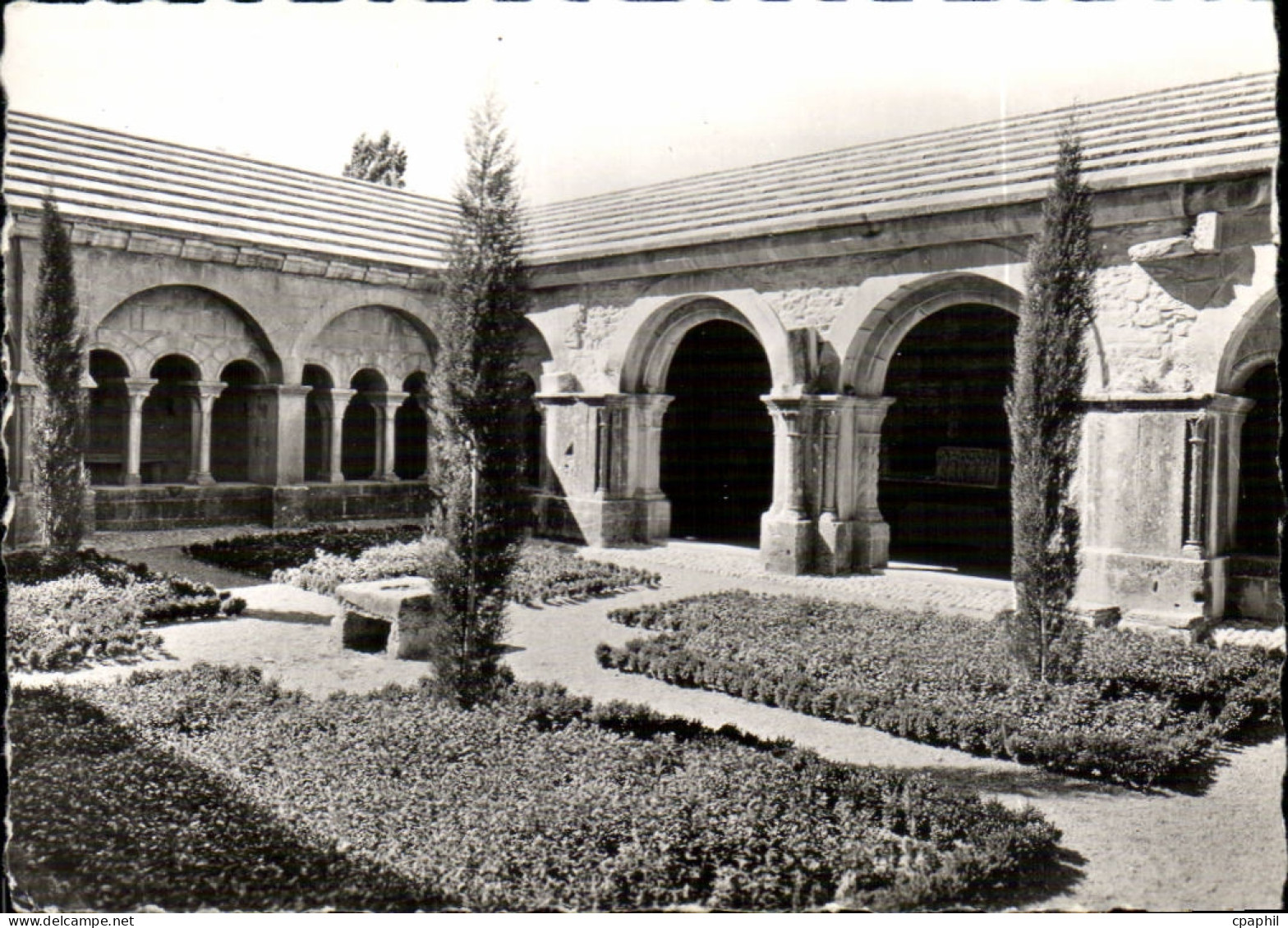 CPSM Vaison la Romaine Le jardin du cloitre