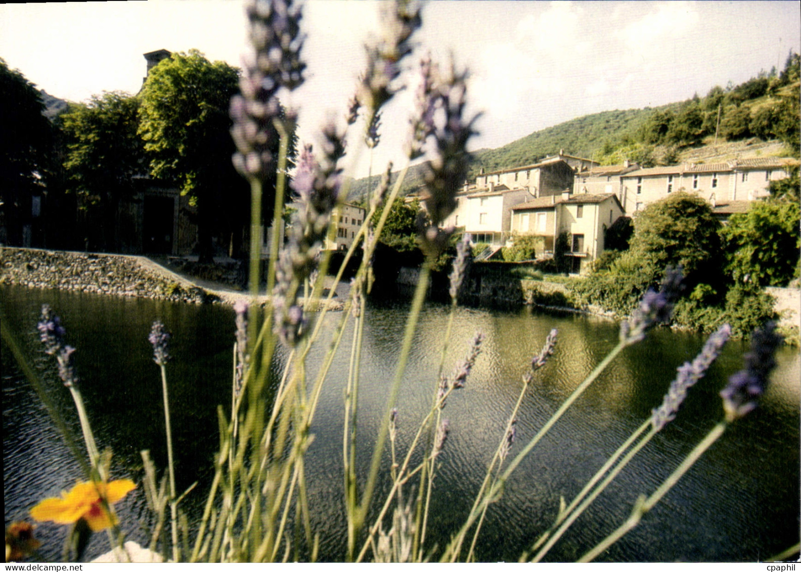 CPSM Valleraugue Ambiance Fleurie