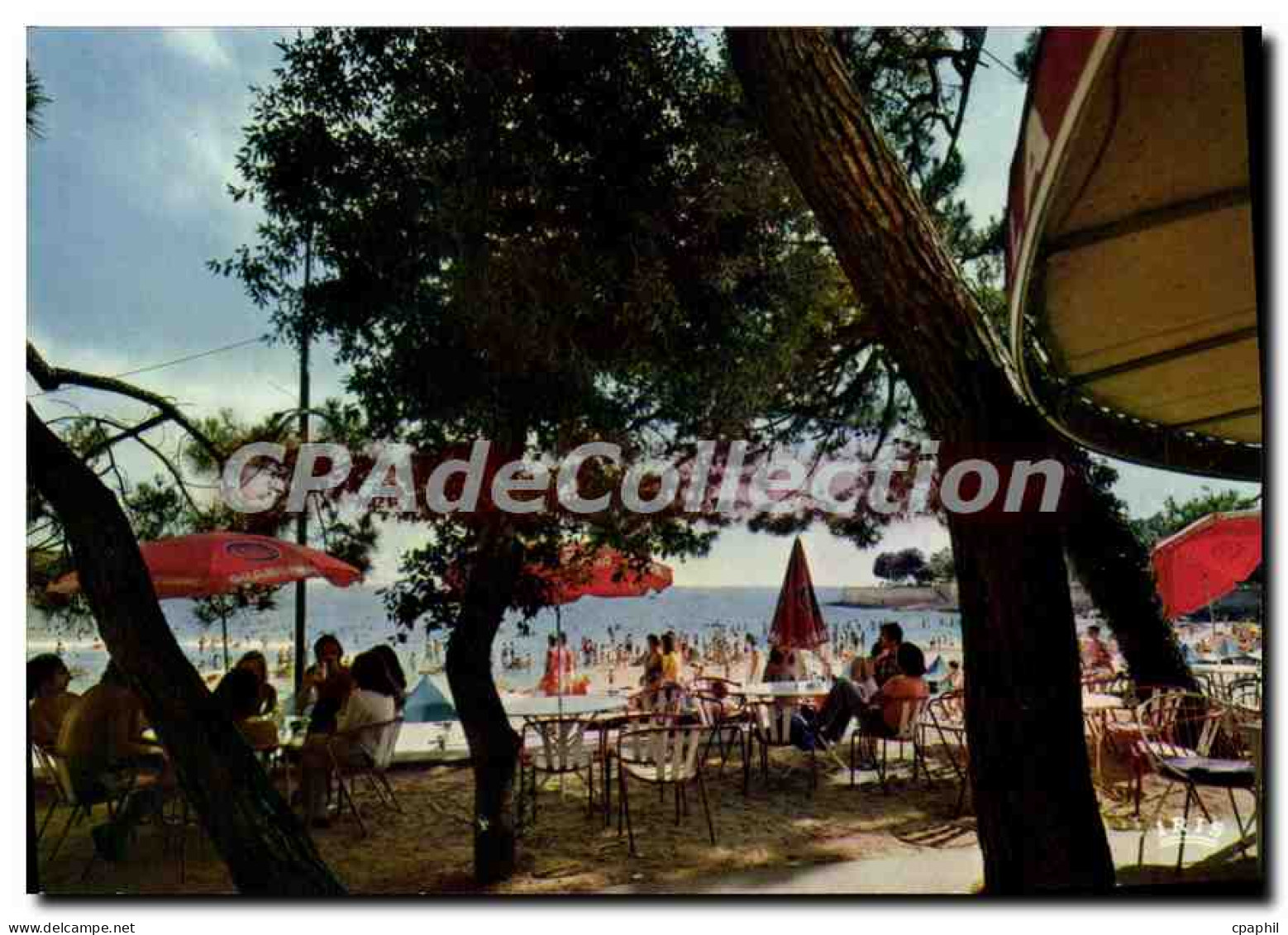 CPSM Vaux Sur Mer Charente Maritime La Plage De Nauzan Et La Potiniere