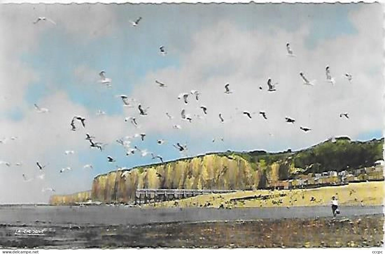 CPSM Veules-les-Roses vol de Mouettes