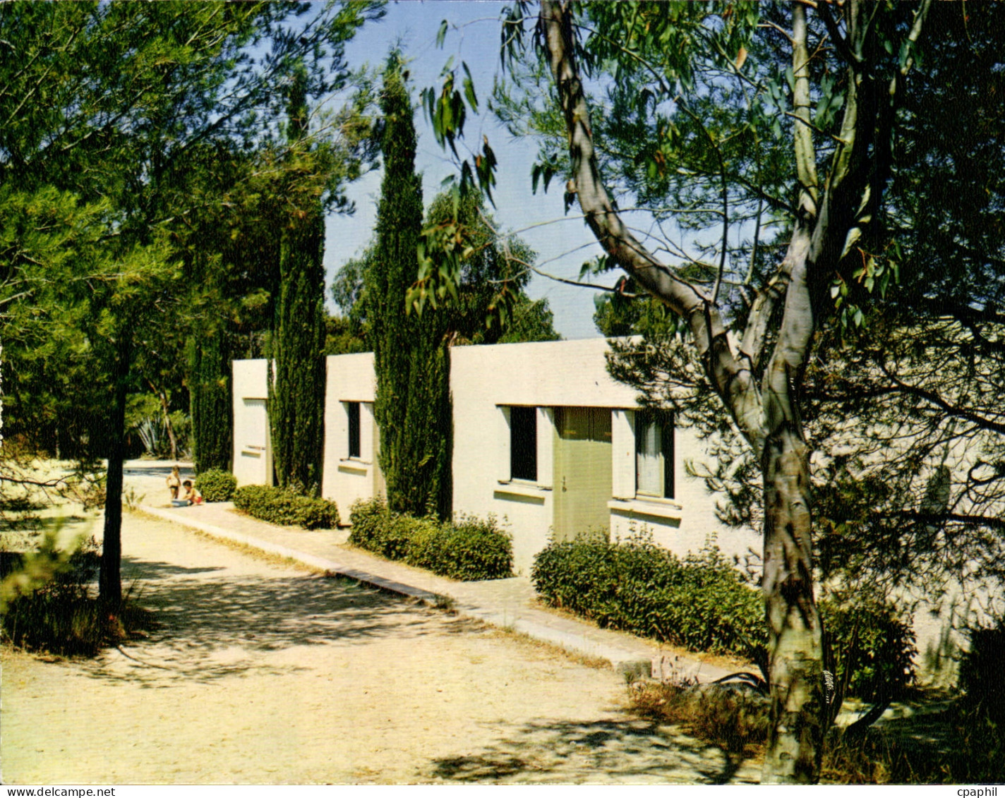 CPSM Village Vacances Familles Les Pavillons a l'abri des Eucalyptus Le Pradet