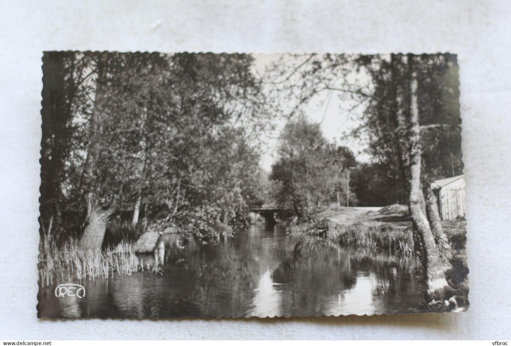 Cpsm, Villedieu sur Indre, les bords de l'Indre à Mehun, Indre 36
