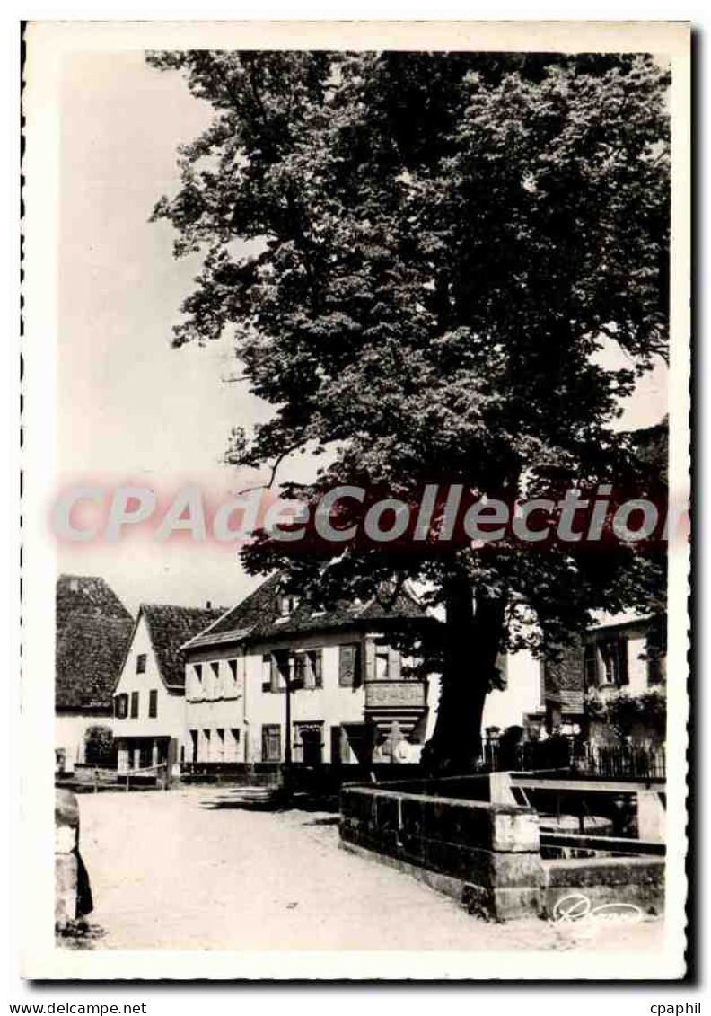 CPSM Wissembourg Bas Rhin Faubourg de Bitche