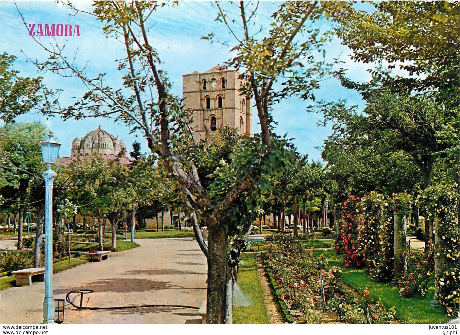 CPSM Zamora         L2849
