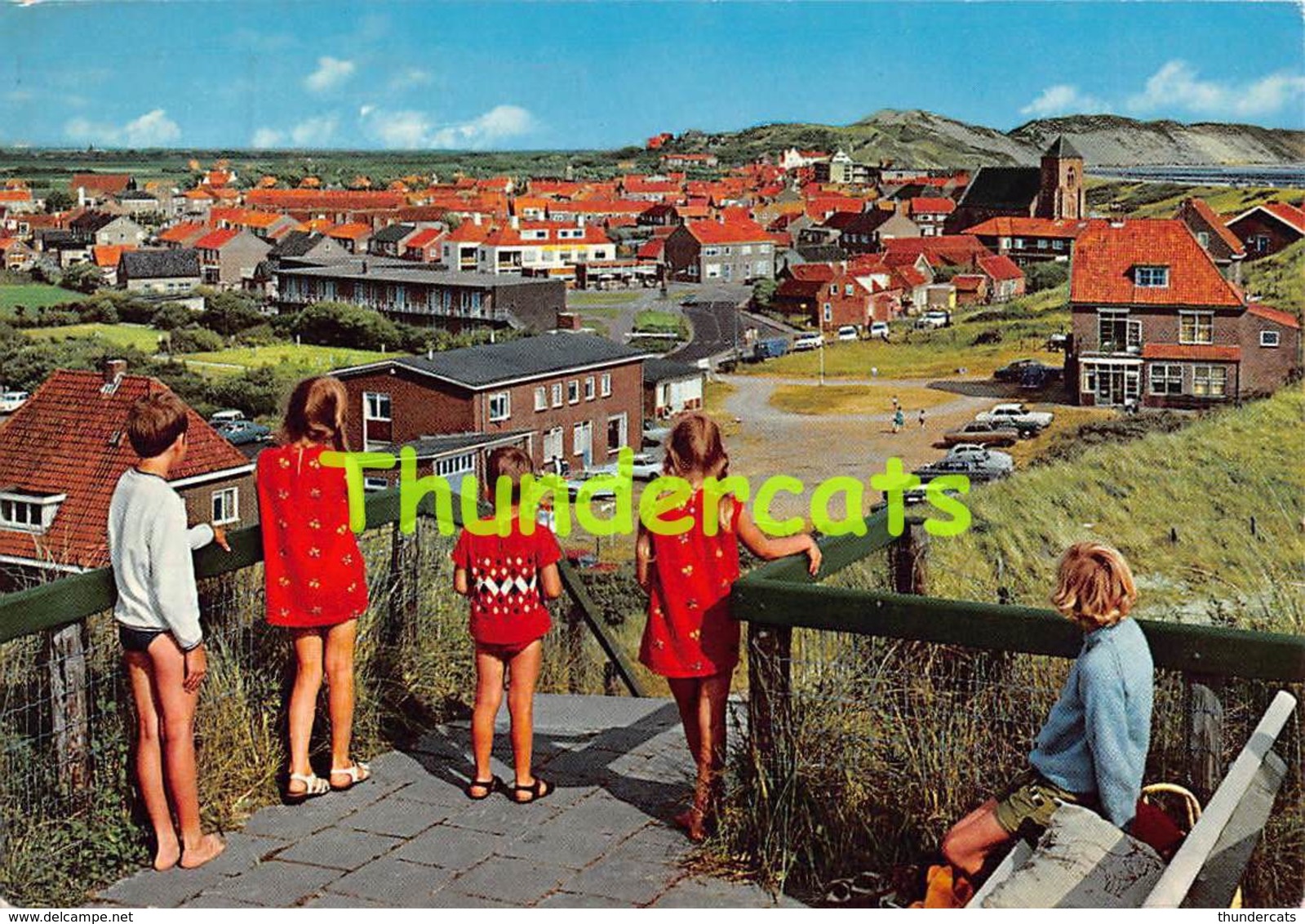 CPSM ZOUTELANDE PANORAMA