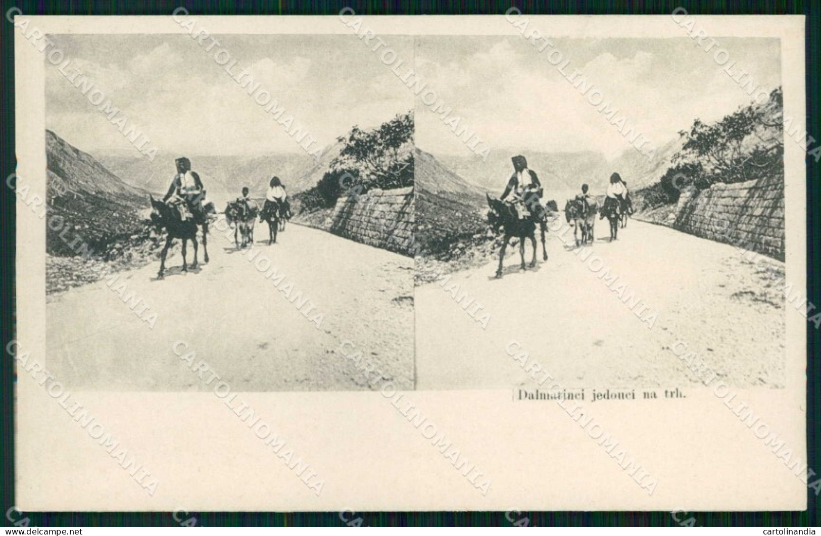 Croazia Croatia Dalmazia Dalmacija Uomini su Asini Stereoview cartolina RT6979