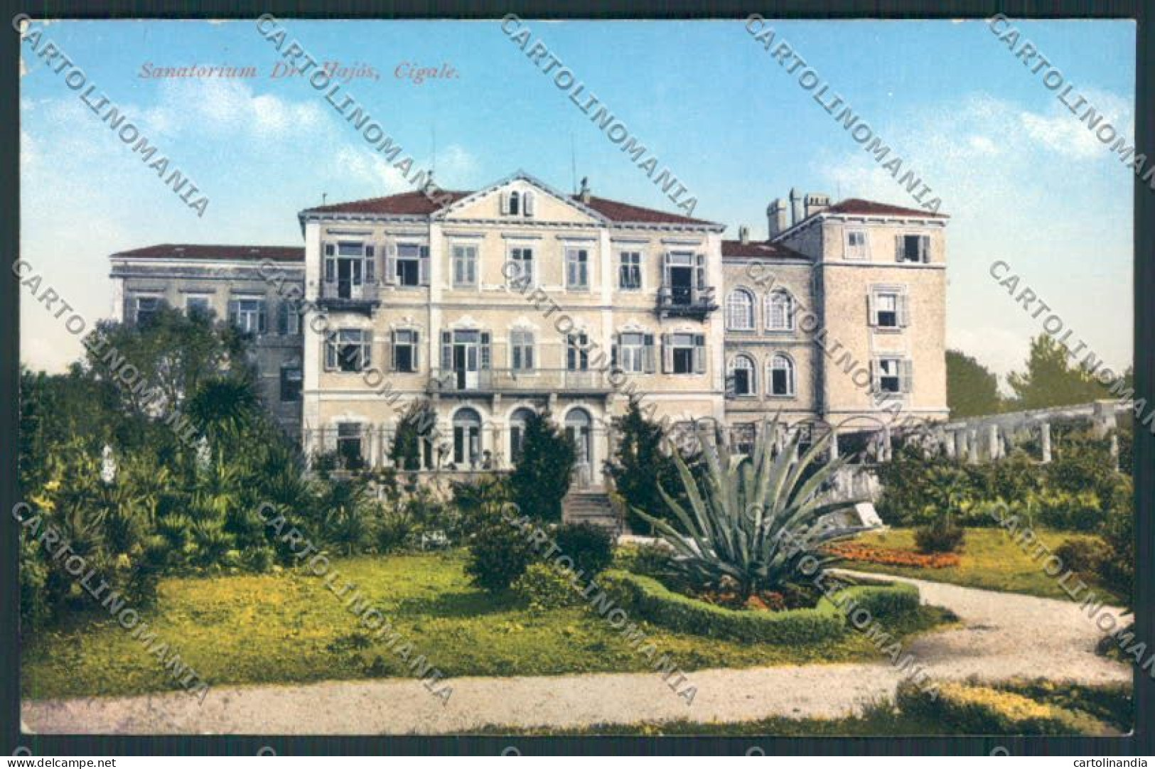 Croazia Croatia Lussinpiccolo cartolina RB4548