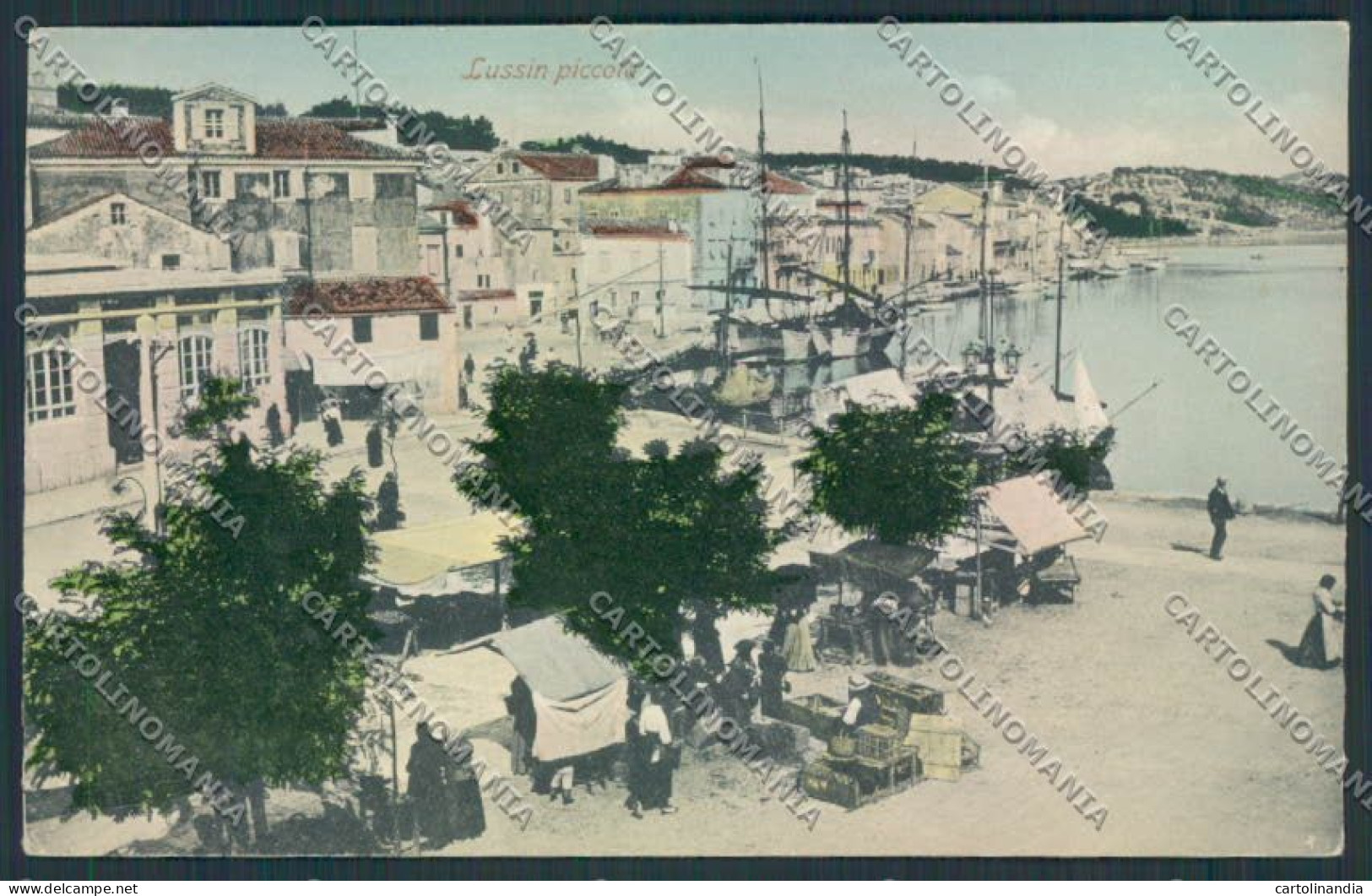 Croazia Croatia Lussinpiccolo cartolina RB4557