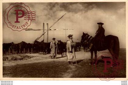 CROACIA // CROATIE. CSIKOSGAZDA A MENESSEL