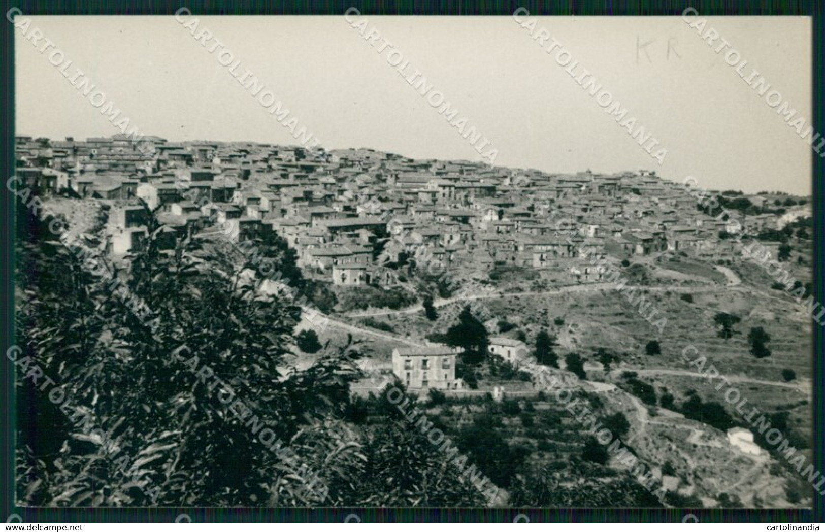 Crotone Savelli Foto cartolina KF2646