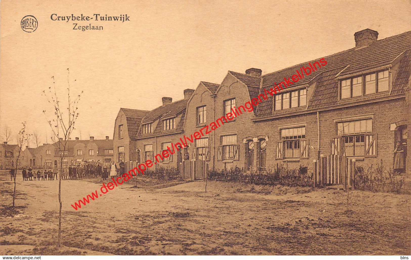 Cruybeke-Tuinwijk - Zegelaan - Kruibeke