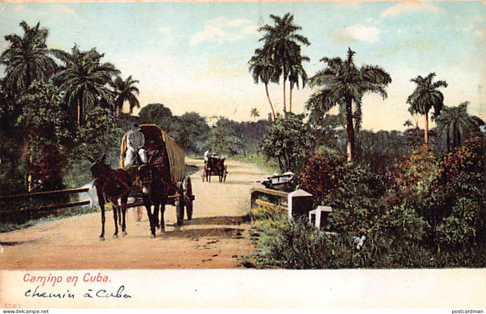 Cuba - Camino en Cuba - Ed. desconocido 3287