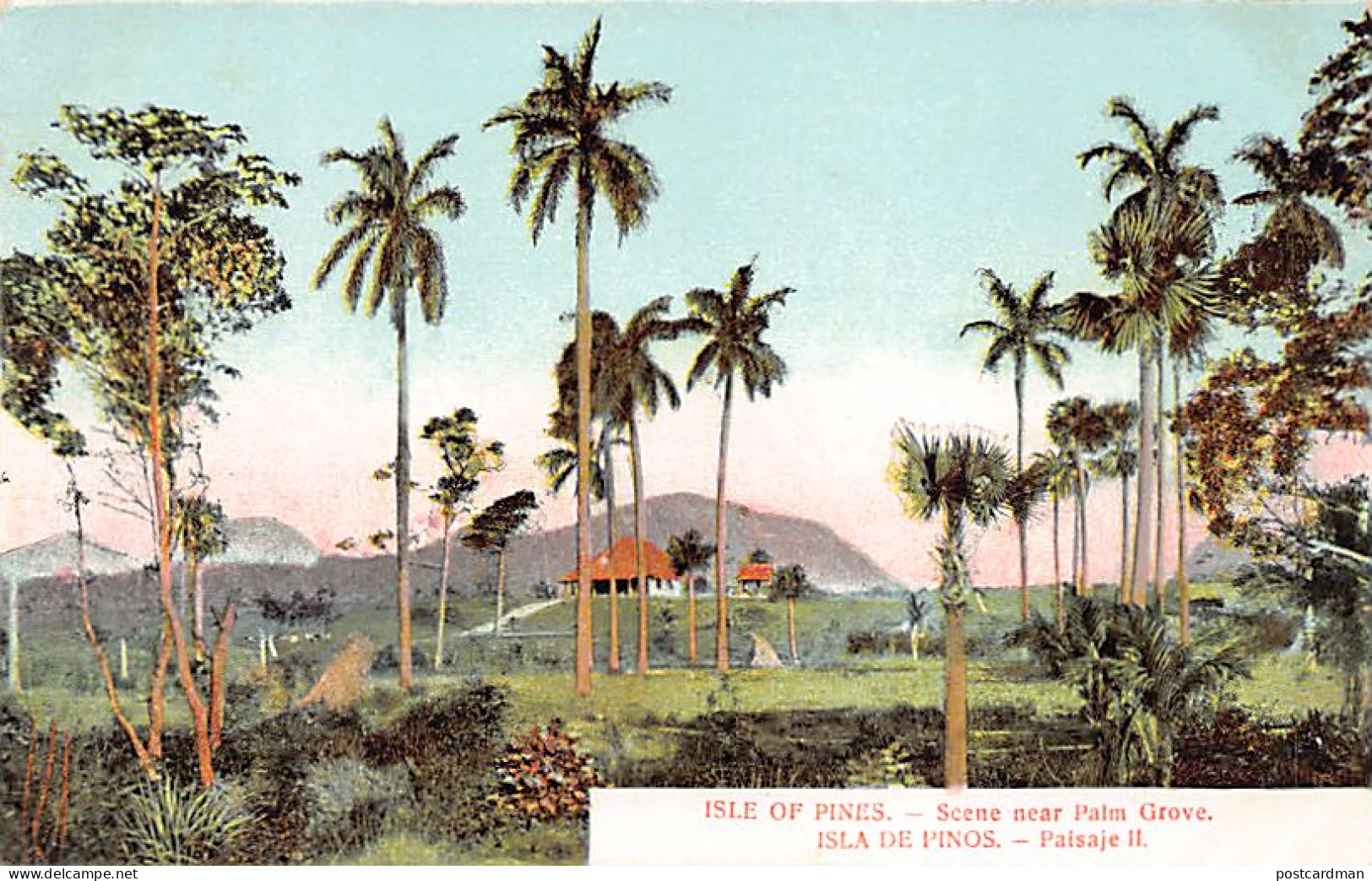 Cuba - Isla de Piños - Paisaje - Ed. desconocido