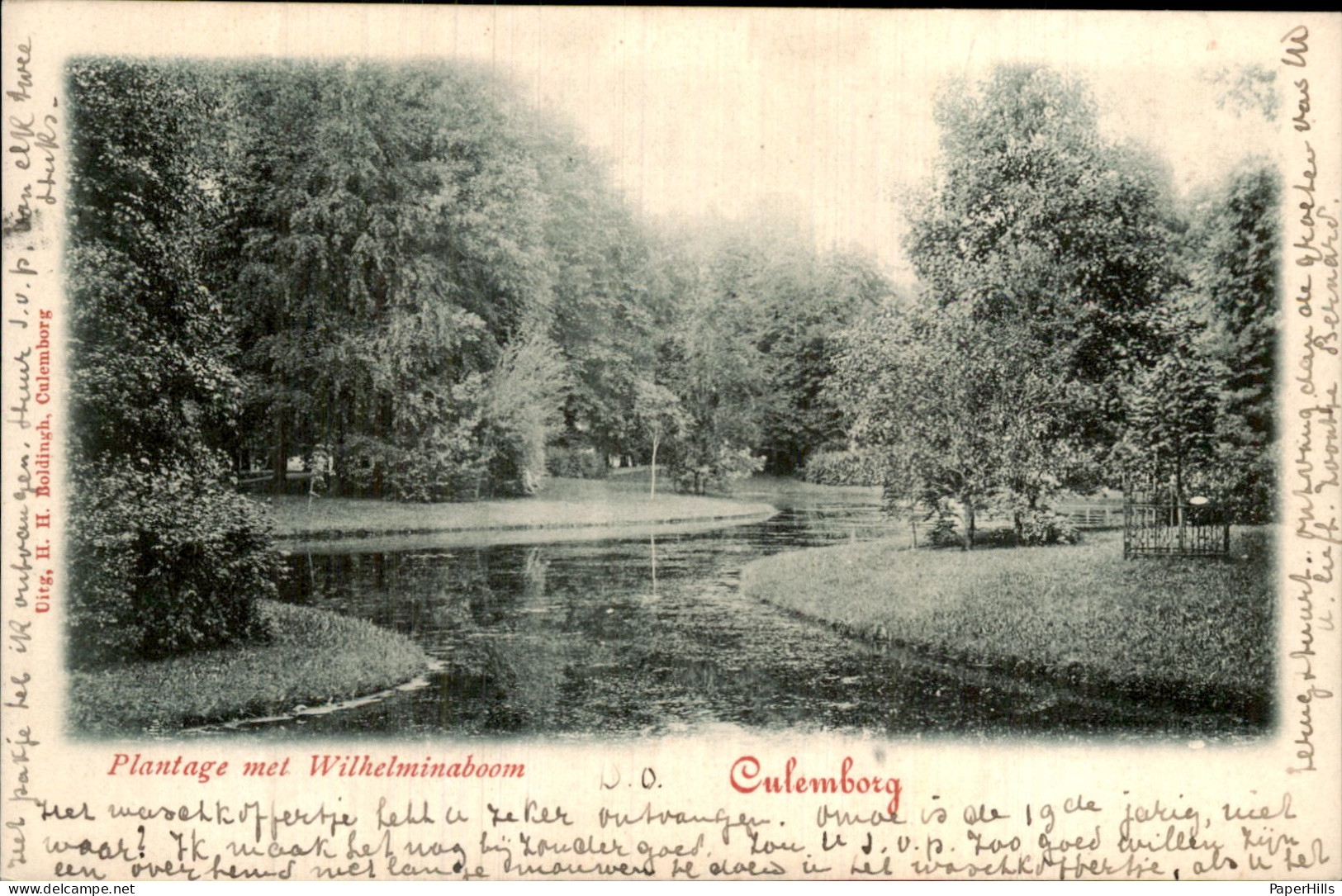 Culemborg- Wilhelminaboom