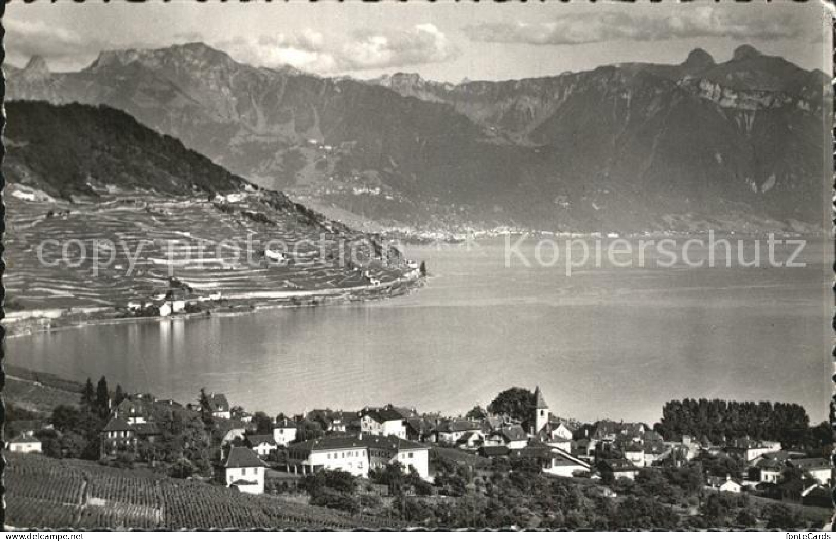 Cully VD Alpen