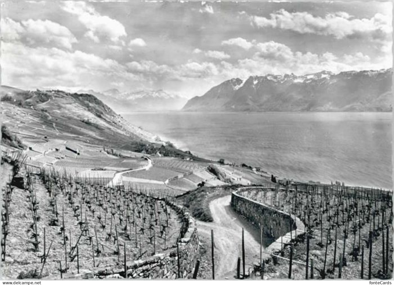 Cully VD Cully Lac Leman