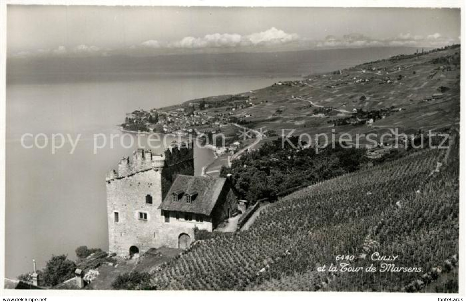 Cully VD et la Tour de Marsens