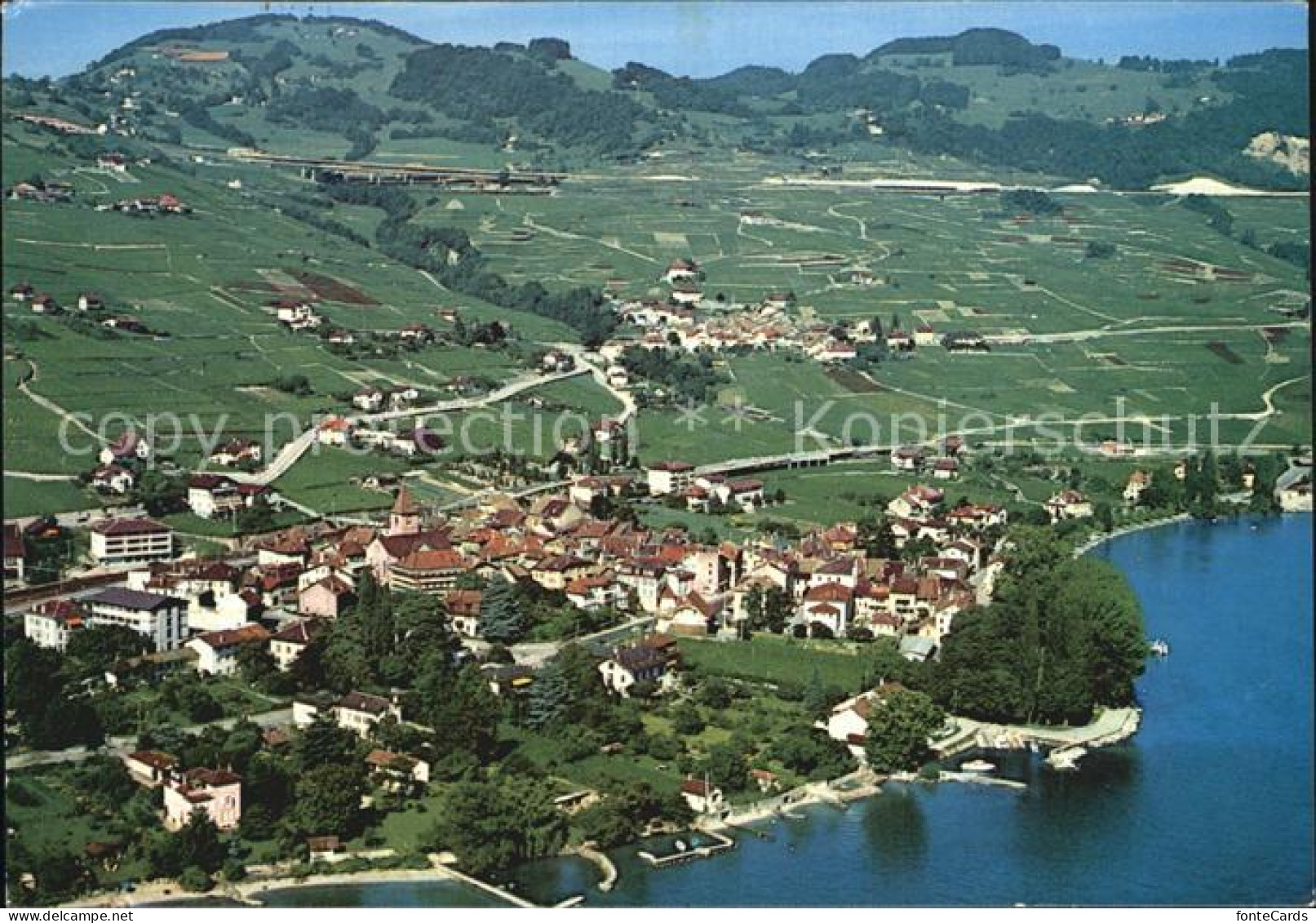 Cully VD Lavaux Riex