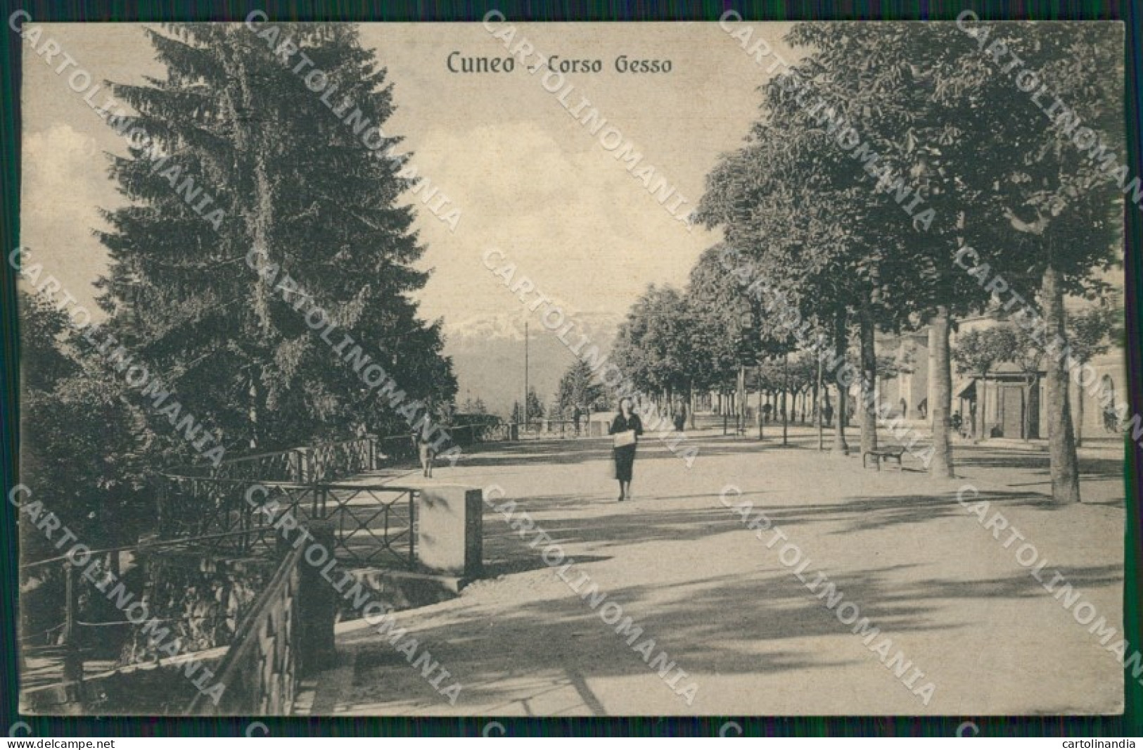 Cuneo città cartolina QK8780