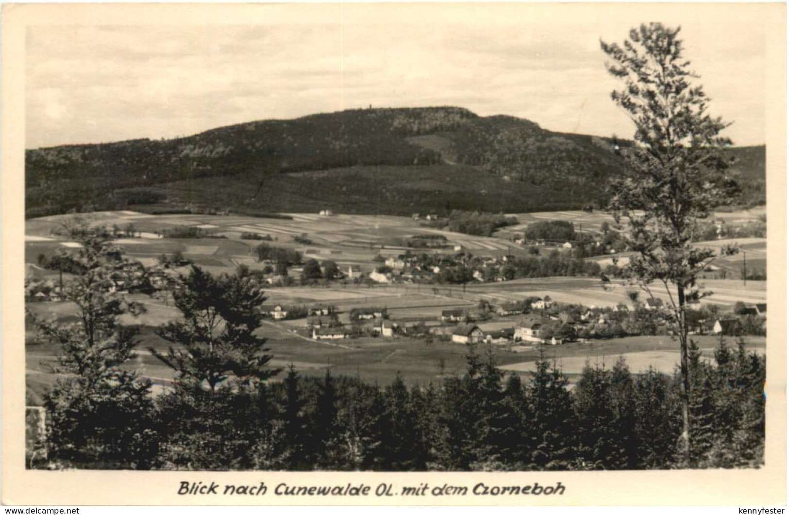 Cunewalde in Sachsen