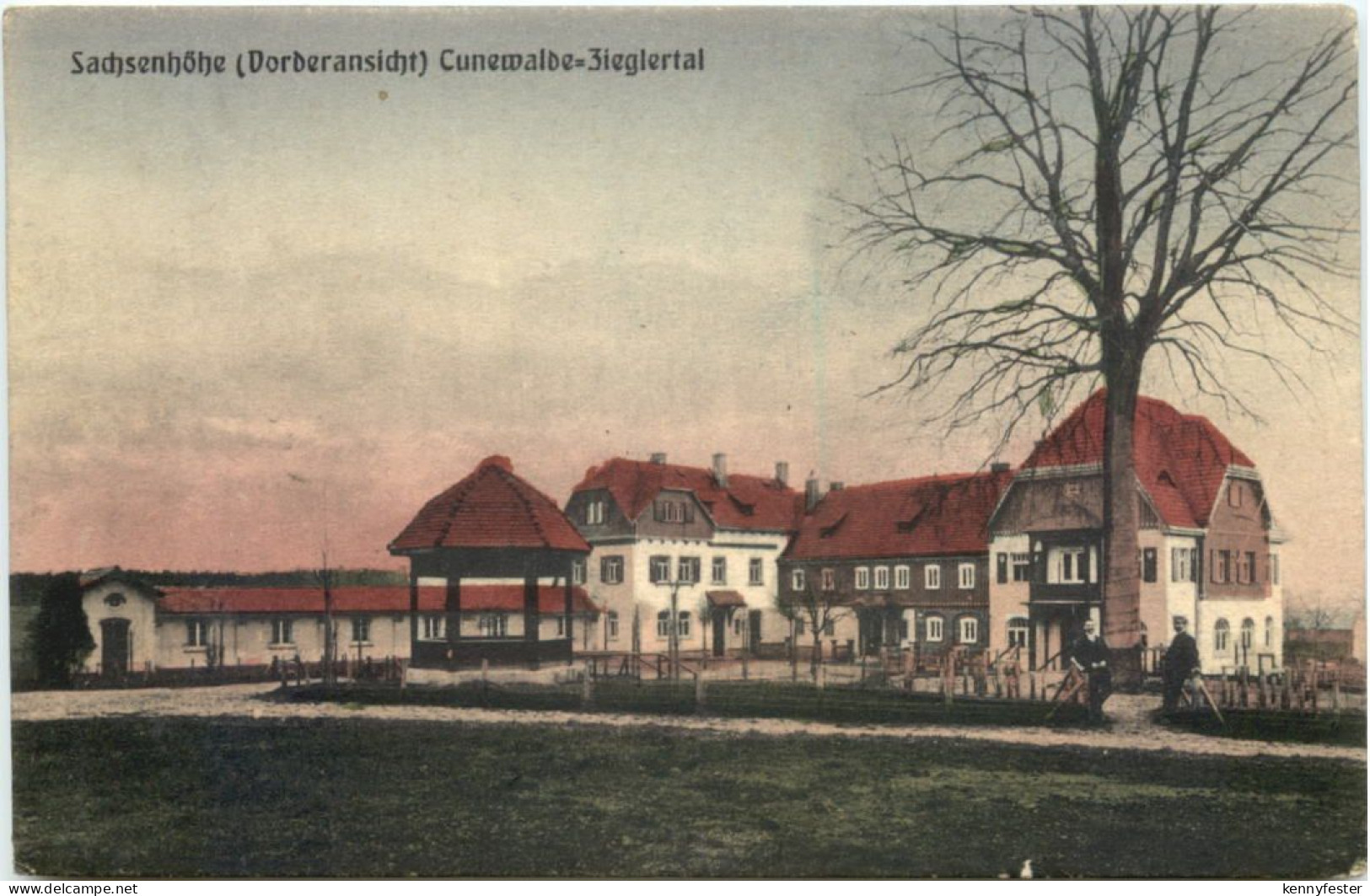 Cunewalde - Sachsenhöhe