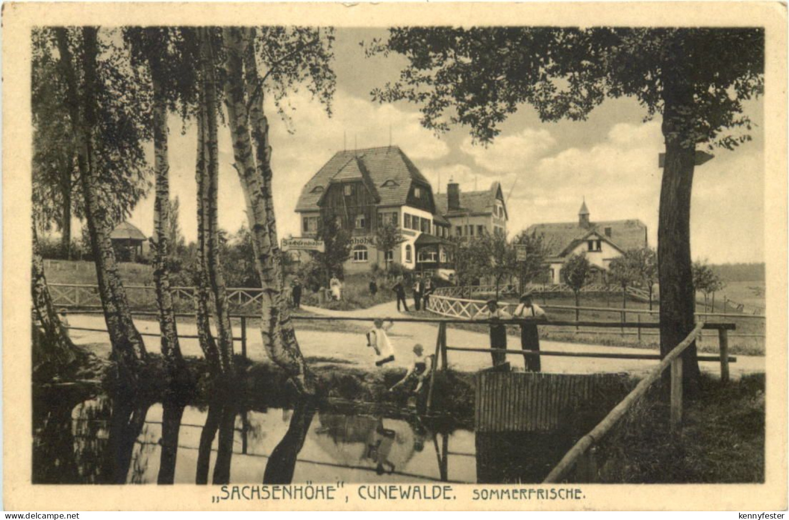 Cunewalde - Sachsenhöhe