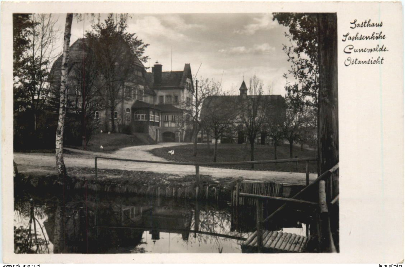 Cunewalde - Sachsenhöhe