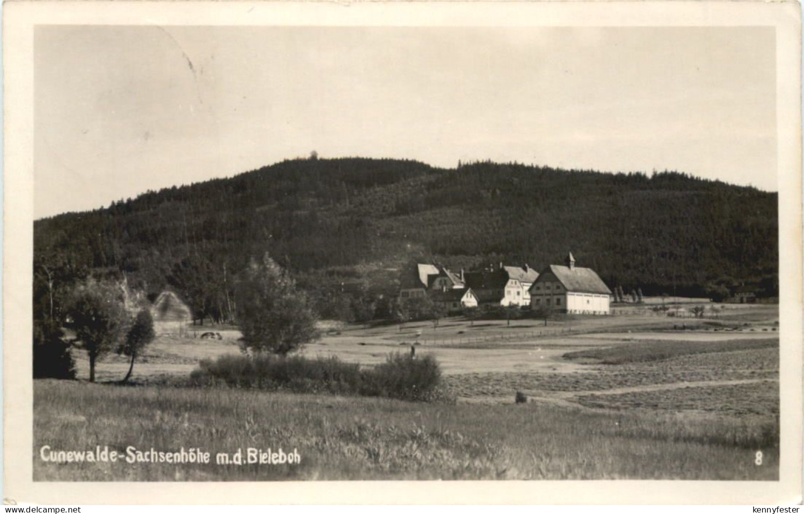 Cunewalde - Sachsenhöhe