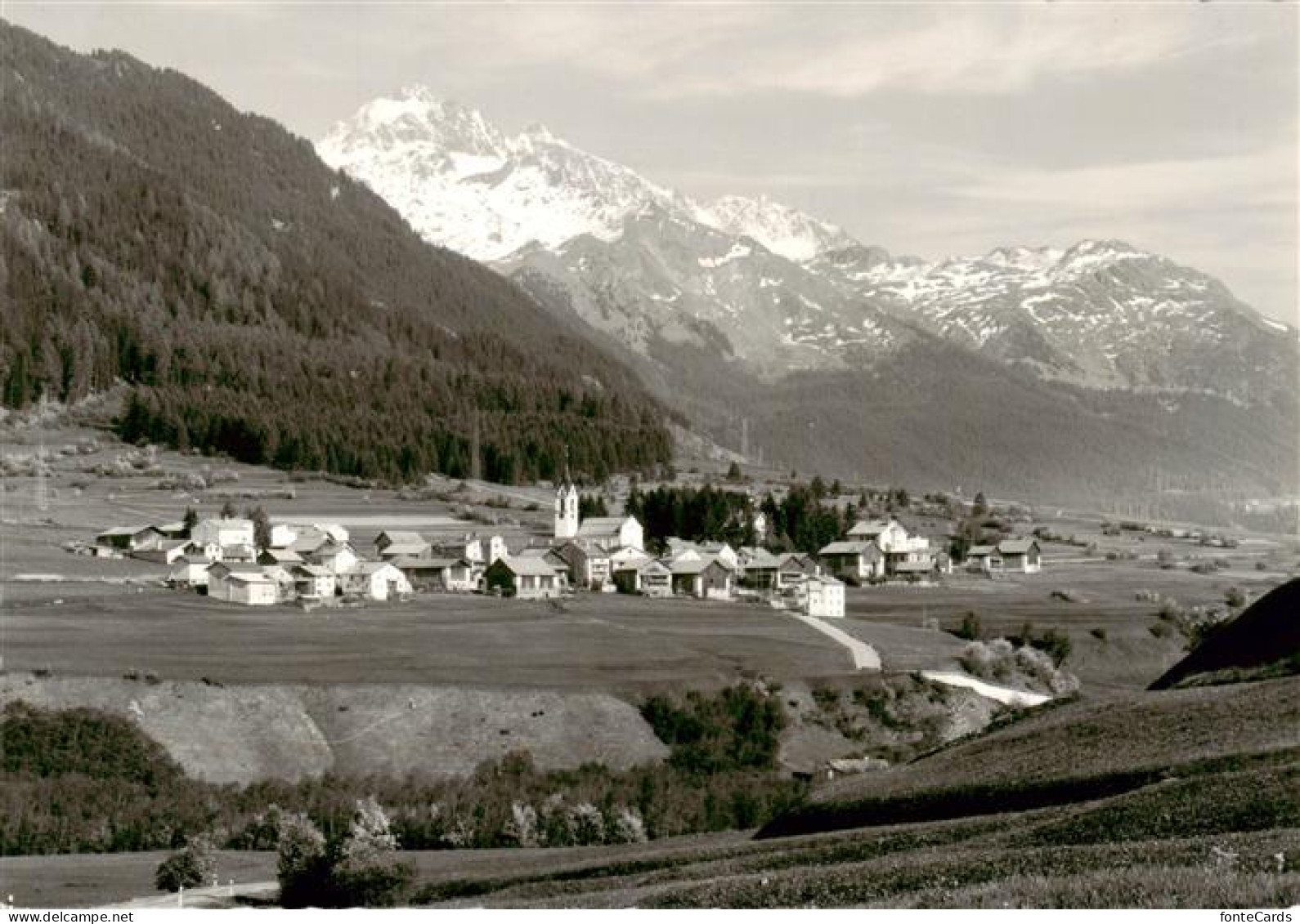 Cunter GR Panorama mit Piz d Err Oberhalbstein