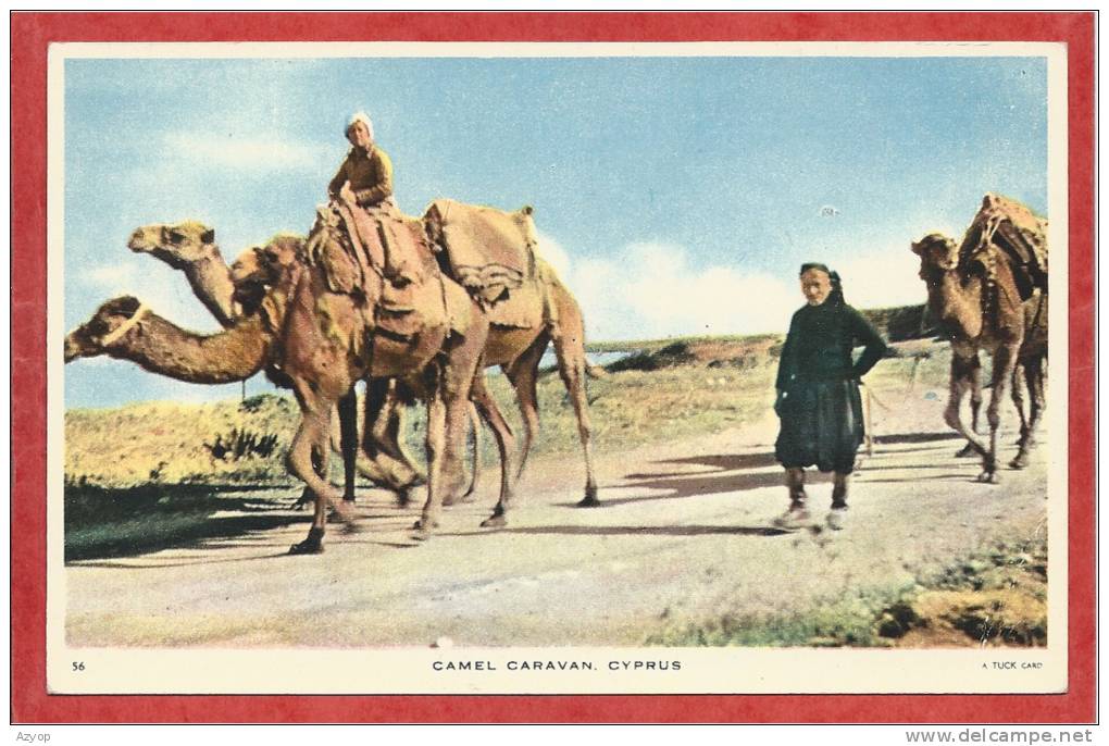 Cyprus - CAMEL CARAVAN - 2 scans