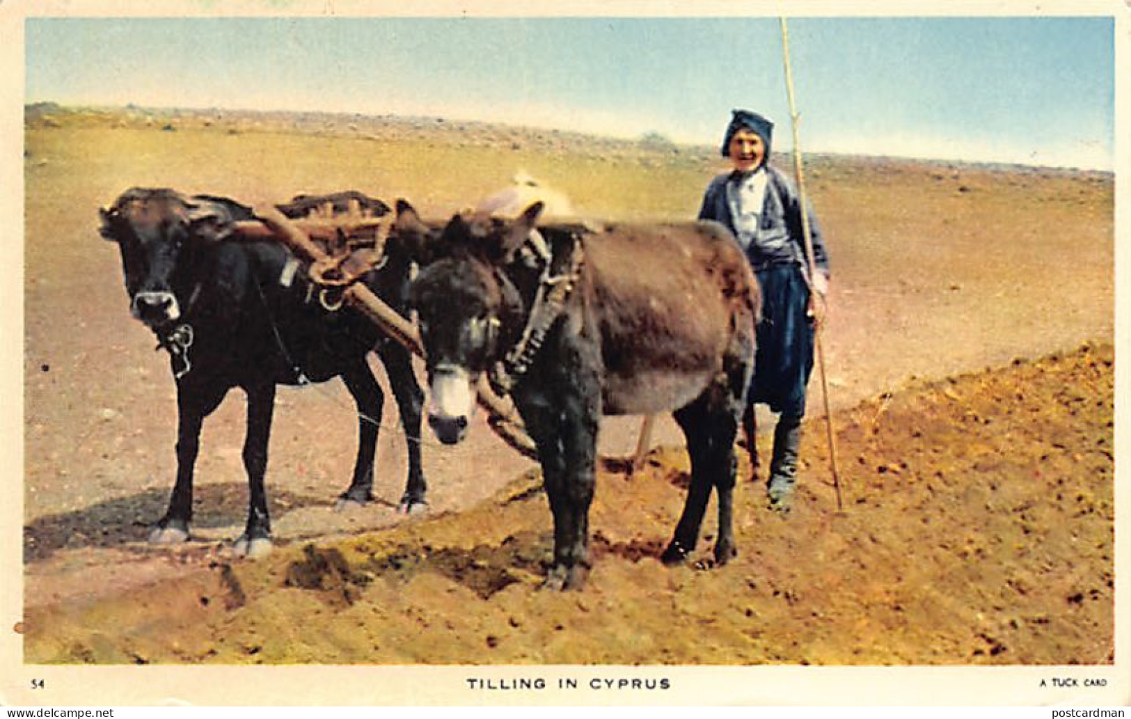 CYPRUS - Tilling in Cyprus - Publ. Raphael Tuck & Sons