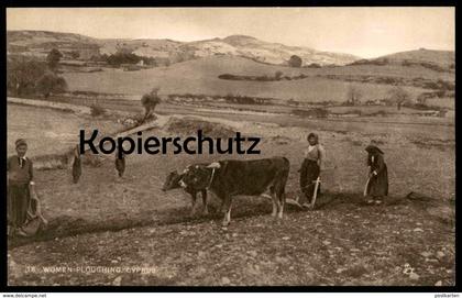ALTE POSTKARTE WOMEN PLOUGHING CYPRUS RAPHAEL TUCK'S POSTCARD farmer Bauer Kühe Cows Vaches Chypre Zypern cultivateur AK