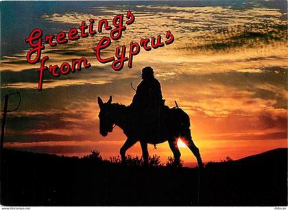 Carte Postale - Chypre - Cyprus - Coucher de Soleil - Anes - CPM - Voir Scans Recto-Verso - Poscard - Carta Postal -  Po
