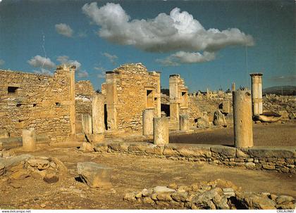 CHYPRE CURIUM