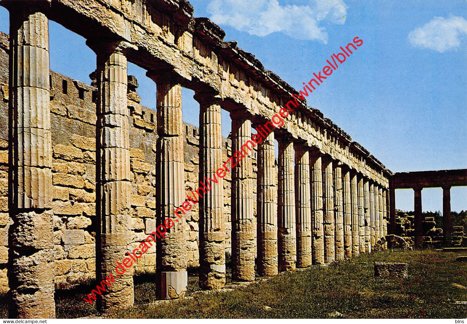 Cyrene ruines - Libya Libie Libia