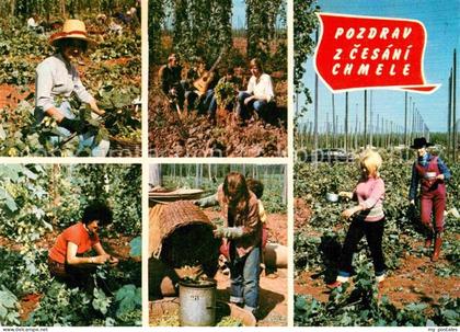 Tschechische Republik Cesani Chmele