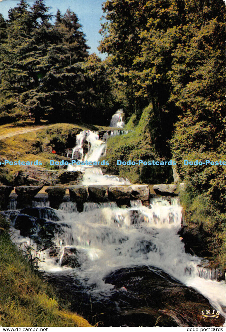 D004900 Saint Ferreol. Haute Garonne. Les cascades. Theojac. Iris