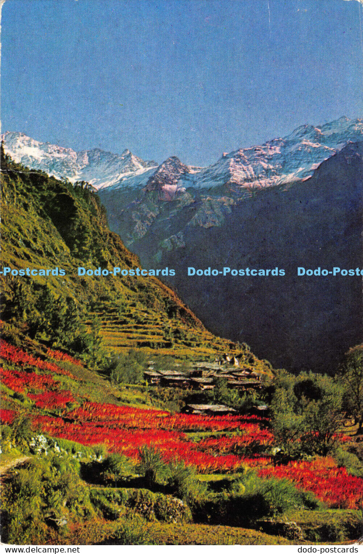 D006491 India. Janakibai Chatti. Badrinath. Uttar Pradesh. India Tourism Develop