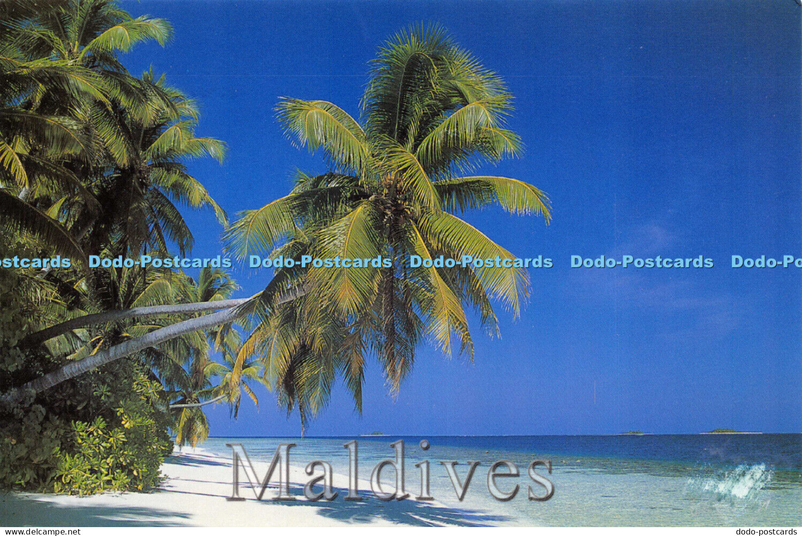 D014752 Maldives. Fayaz